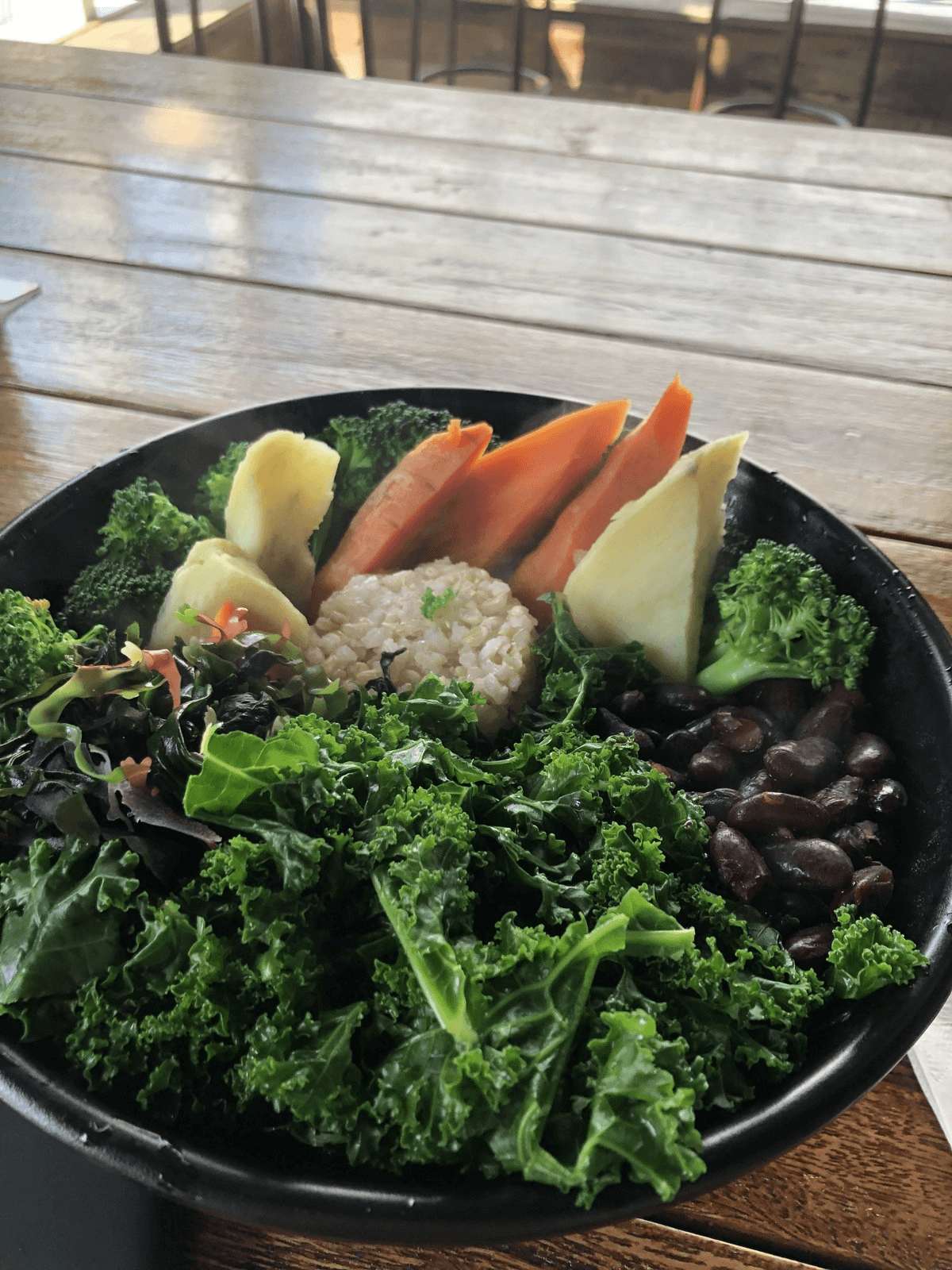 lunch bowl
